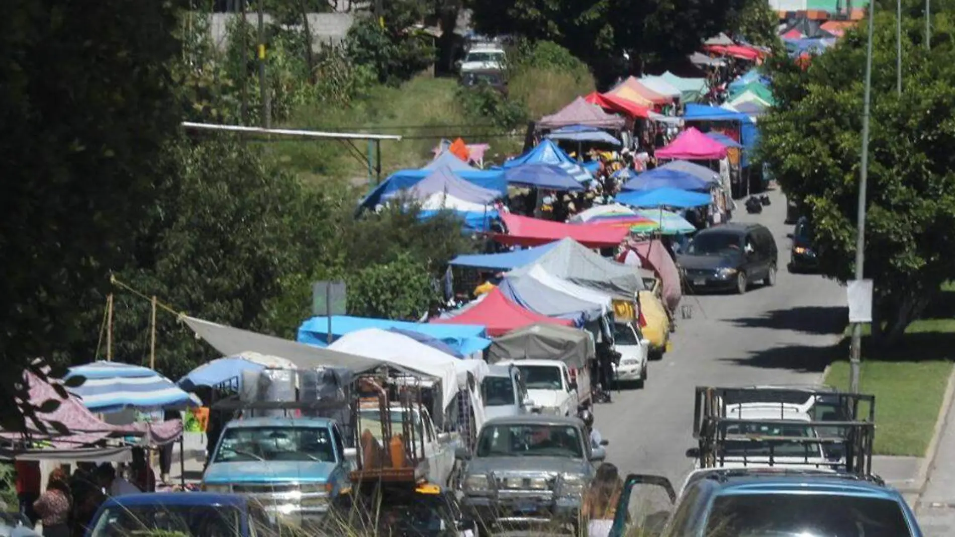 ambulantes la curva